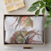 巣のウッドランド小妖精や小人:アンティークバードスプライトフェアリー 薄葉紙 (ギフト)