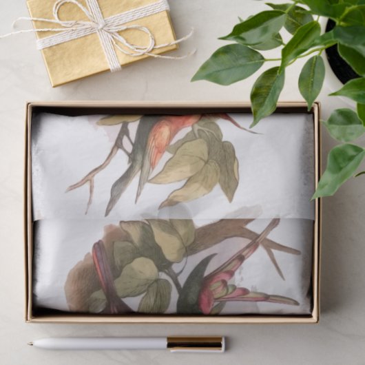 巣のウッドランド小妖精や小人:アンティークバードスプライトフェアリー 薄葉紙 (ギフト)