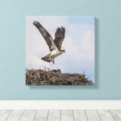 巣のオスプレイ キャンバスプリント (インサイチュ (ウッドフロア))