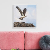 巣のオスプレイ キャンバスプリント (インサイチュ (リビング))