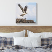 巣のオスプレイ キャンバスプリント (インサイチュ (寝室))