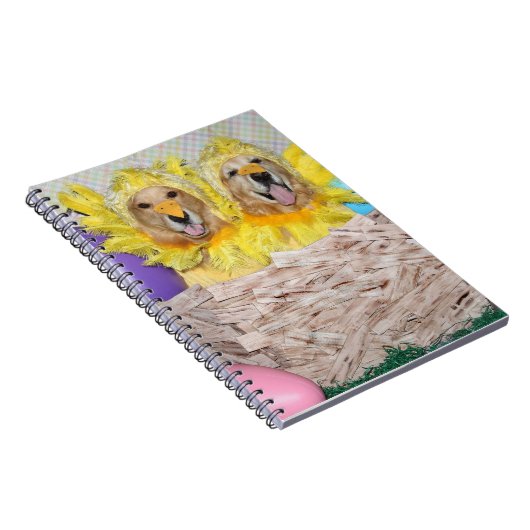 巣のゴールデン・リトリーバーのひよこ ノートブック (右側)
