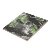 巣のハチドリ タイル (側面)