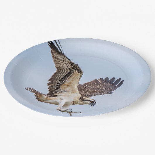 巣のミサゴの着陸 ペーパープレート (アングル)