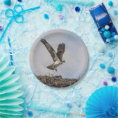 巣のミサゴ ペーパープレート (パーティー)