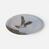 巣のミサゴ ペーパープレート (アングル)