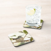 巣の上のメスのハミングバード コースター (右側)