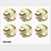 巣の上のメスのハミングバード ラウンドシール (シート)