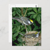 巣の上の栗の側のワルブラー ポストカード (正面/裏面)