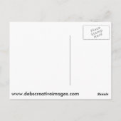 巣の中でオスプレイをする ポストカード (裏面)