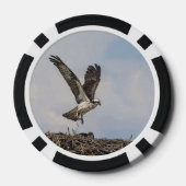 巣の中でオスプレイをする ポーカーチップ (裏面)