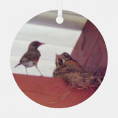 巣の中にベビーの鳥がいる母の鳥 メタルオーナメント (正面)