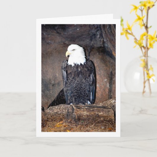 巣の中のアメリカハゲのワシ カード (黄色い花)