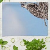 巣の中のオスプレイの少年 キッチンタオル (折り畳み)