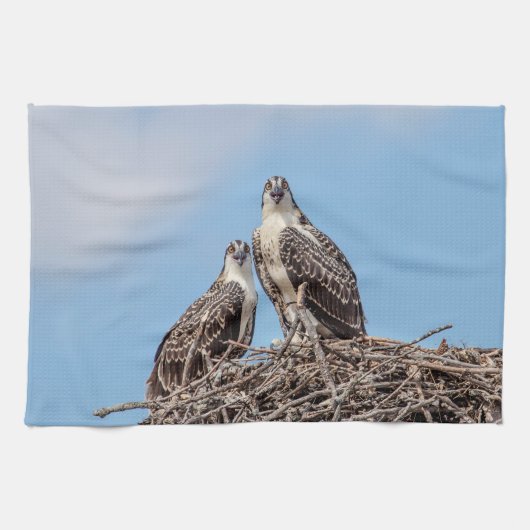 巣の中のオスプレイの少年 キッチンタオル (横)