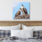 巣の中のオスプレイの少年 キャンバスプリント (インサイチュ (寝室))