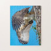 巣の中のオスプレイの少年 ジグソーパズル (縦)