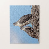 巣の中のオスプレイの少年 ジグソーパズル (縦)