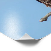 巣の中のオスプレイの少年 フォトプリント            (角)