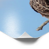 巣の中のオスプレイの少年 フォトプリント            (角)