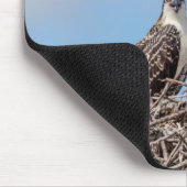 巣の中のオスプレイの少年 マウスパッド (コーナー)