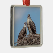 巣の中のオスプレイの少年 メタルオーナメント (右)