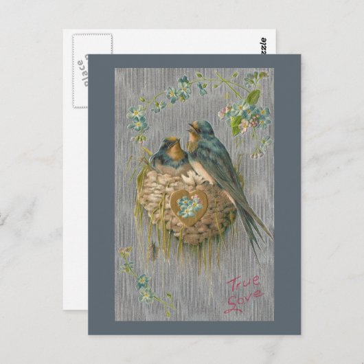 巣の中のツバメへの真の愛 ポストカード (正面/裏面)