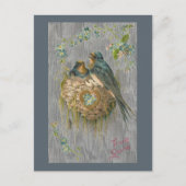 巣の中のツバメへの真の愛 ポストカード (正面)