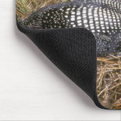 巣の共通の水潜り鳥 マウスパッド (コーナー)