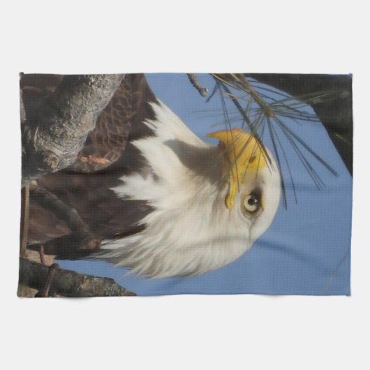 巣の威厳のある中の成熟したハゲのワシ キッチンタオル (横)