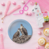 巣の年少のミサゴ ペーパープレート (パーティー)