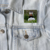 巣の建築者のツノメドリ 缶バッジ (インサイチュ)