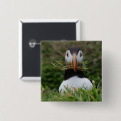 巣の建築者のツノメドリ 缶バッジ (正面&裏面)