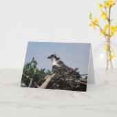 巣の挨拶状に坐っているミサゴ カード (黄色い花)