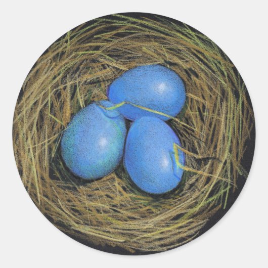 巣の鳥の卵: 現実主義の芸術: ステッカー (正面)