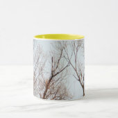 巣を一周しているアメリカの白頭鷲 マグカップ (中央)