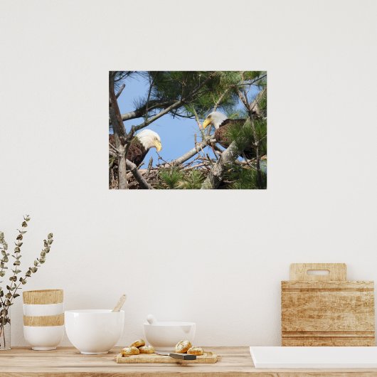 巣を作るハゲのワシのペア ポスター (キッチン)