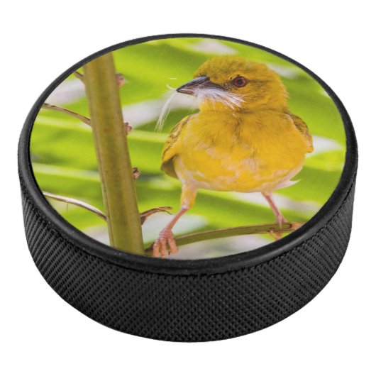 巣を作る時間 アイスホッケーパック (3/4)