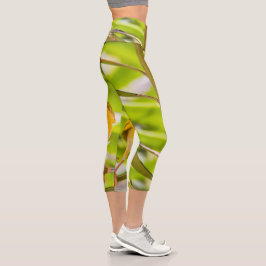 巣を作る時間 カプリレギンス