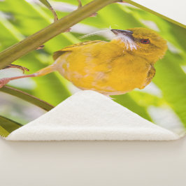 巣を作る時間 シェルパブランケット