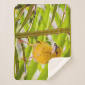 巣を作る時間 シェルパブランケット (正面)