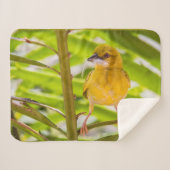 巣を作る時間 シェルパブランケット (正面(横))