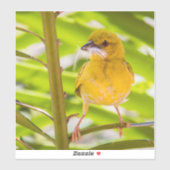 巣を作る時間 シール (シート)