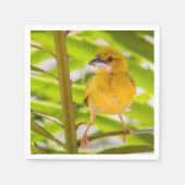 巣を作る時間 スタンダードカクテルナプキン (正面)