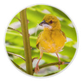 巣を作る時間 セラミックノブ (正面)