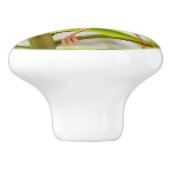 巣を作る時間 セラミックノブ (側面)