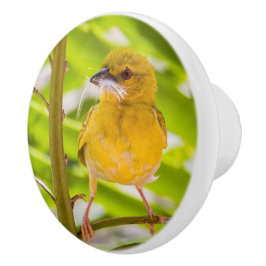 巣を作る時間 セラミックノブ