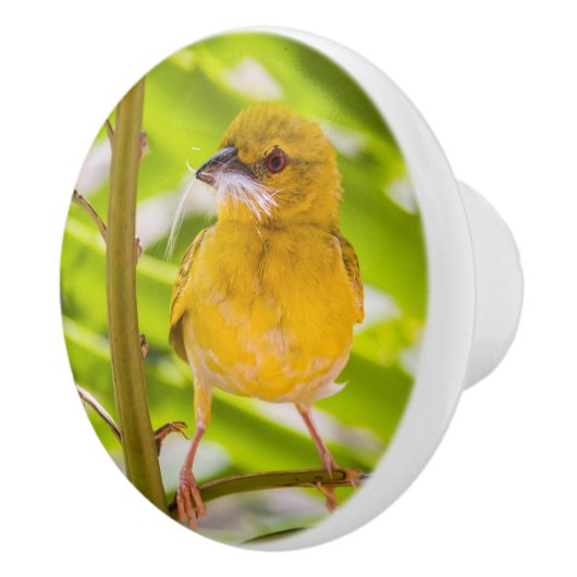 巣を作る時間 セラミックノブ (右)