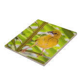 巣を作る時間 タイル (側面)