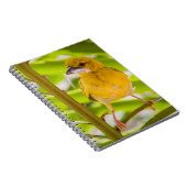 巣を作る時間 ノートブック (右側)